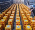 Cọc Cảnh Báo Cáp Ngầm